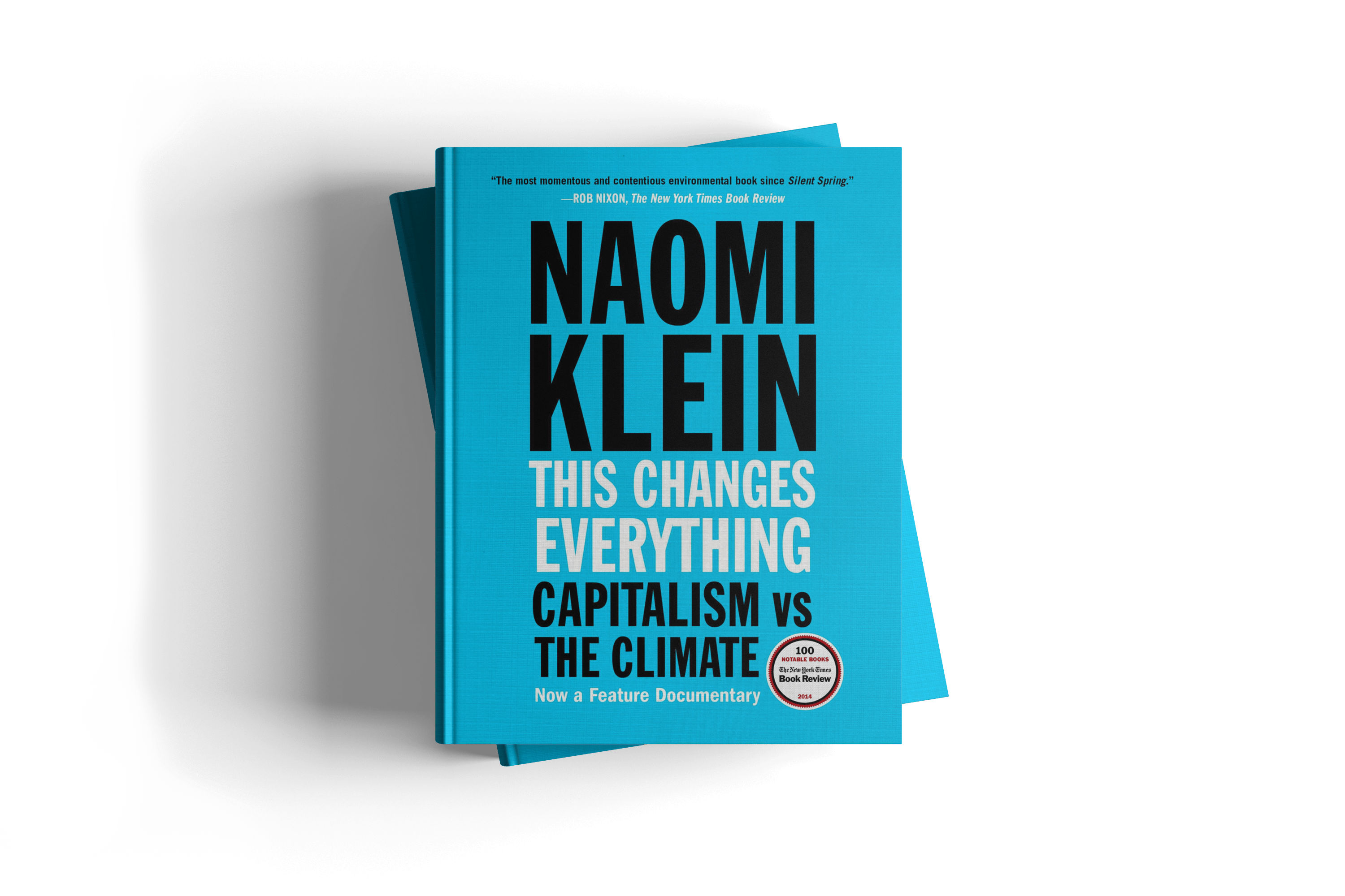 Naomi Klein | This Changes Everything